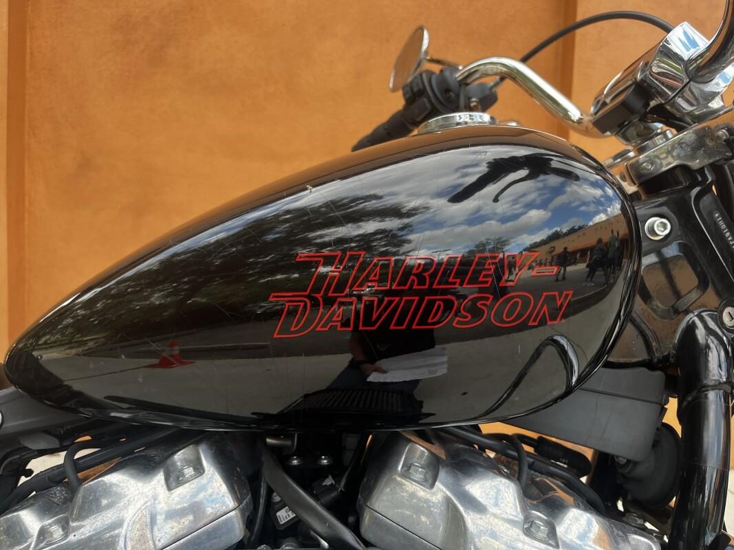 Softail Standard - Photo 2