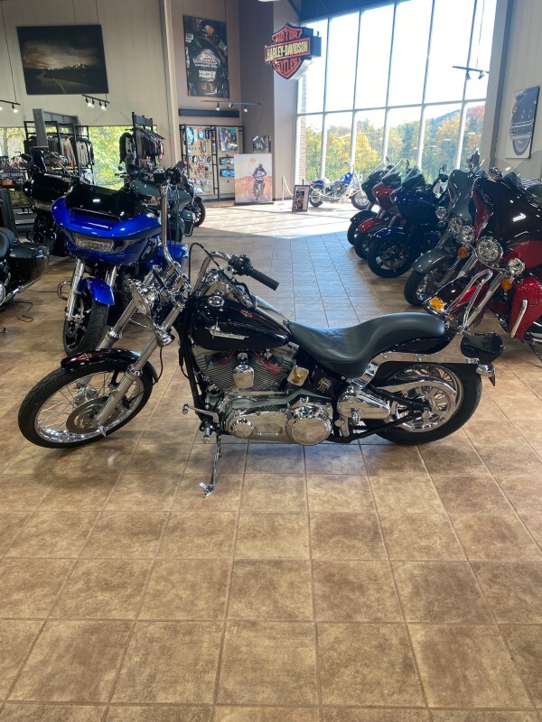 2002 Harley-Davidson Softail Standard - Photo 2