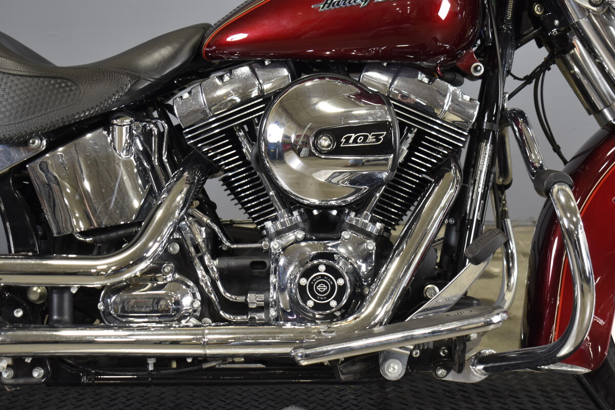 2016 Harley-Davidson Softail Deluxe FLSTN - Photo 10