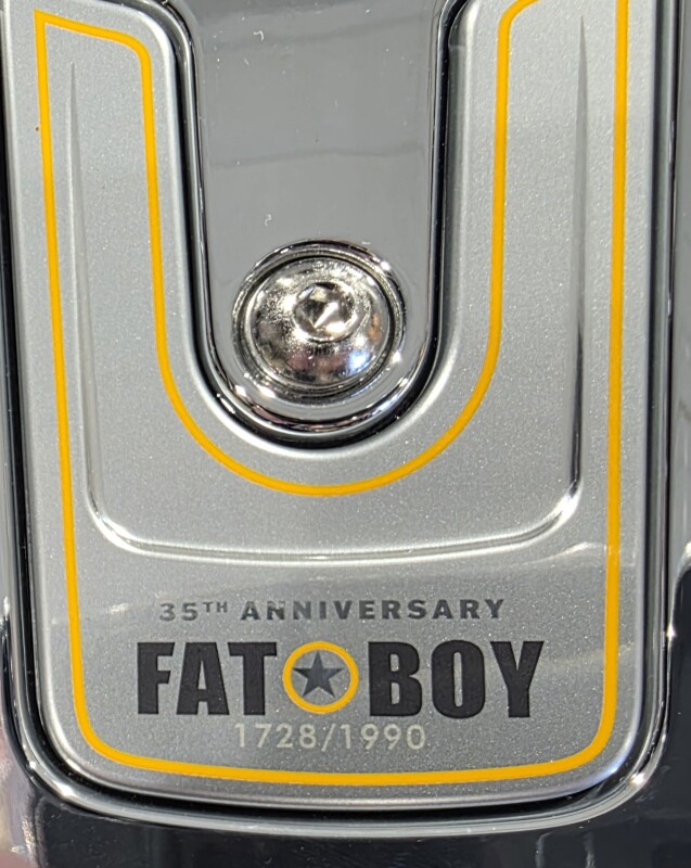2025 Harley-Davidson Fat Boy Gray Ghost - Photo 9