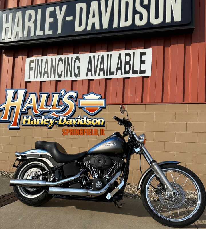2007 Harley-Davidson Night Train Numbered Paint Set