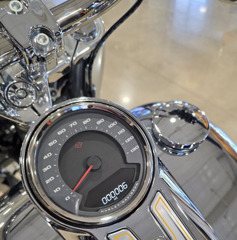 2025 Harley-Davidson Fat Boy Gray Ghost - Photo 4