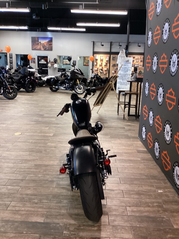 XL 883N 2013 Iron 883 - Photo 8