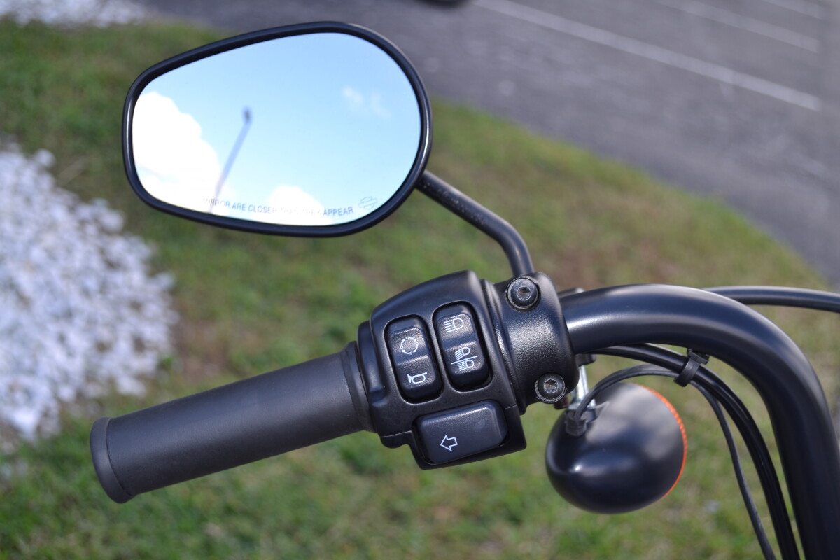 2021 Harley-Davidson Iron 1200 - XL1200NS - Photo 9