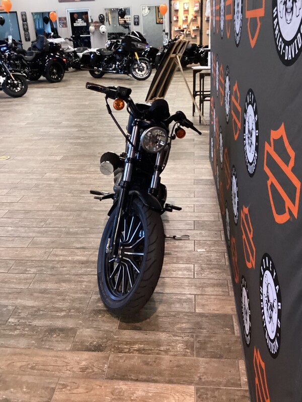 XL 883N 2013 Iron 883 - Photo 3