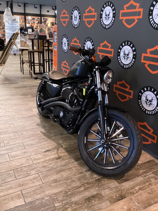 XL 883N 2013 Iron 883 - Photo 2