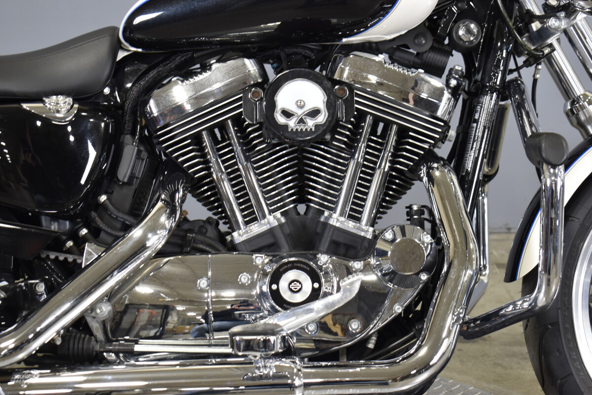 2014 Sportster Superlow - Photo 10