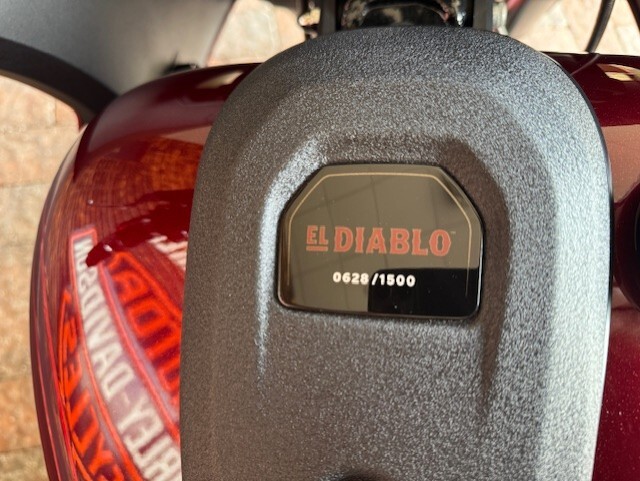 2022 Harley Davidson Low Rider El Diablo FXRST - Photo 4