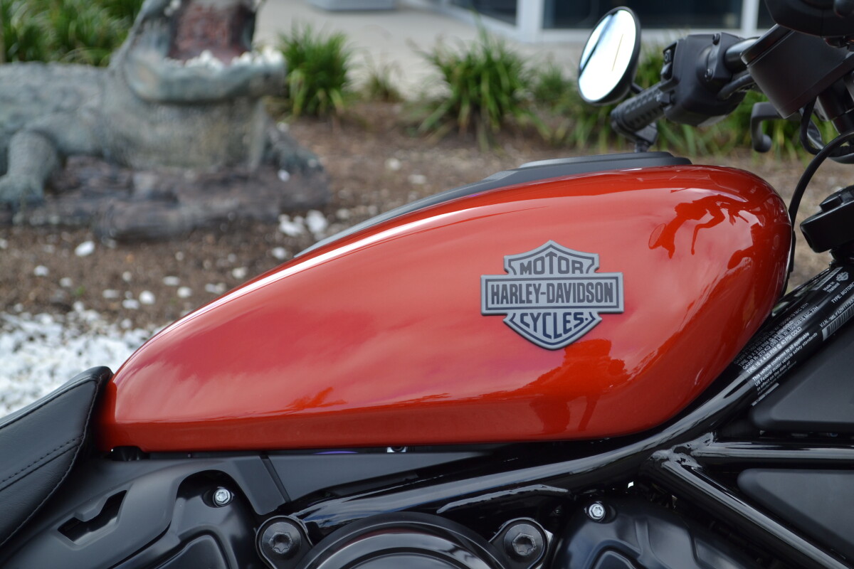 2025 Harley-Davidson Nightster - RH975 - Photo 3