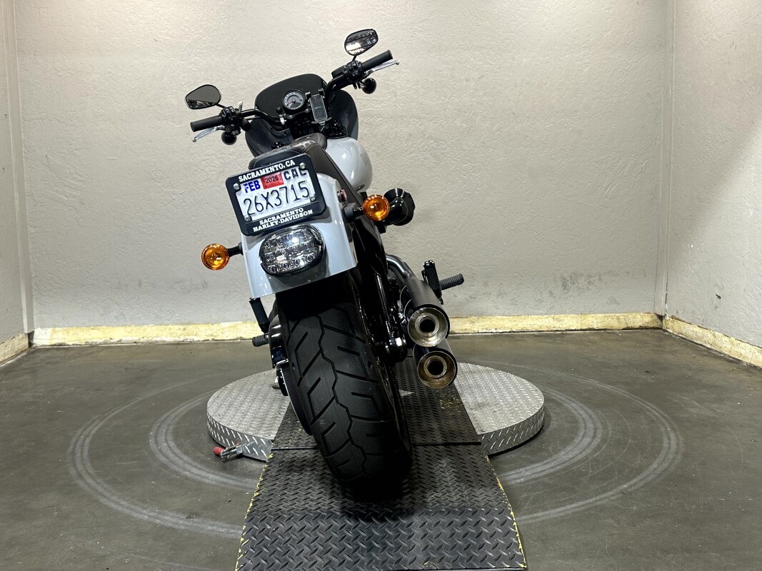Harley-Davidson Low Rider S 2024 FXLRS 84385636 BILLIARD GRAY - Photo 2