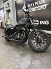 2022 Harley-Davidson® Iron 883™ Gunship Gray thumb 3