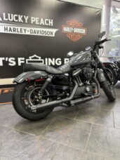 2022 Harley-Davidson® Iron 883™ Gunship Gray thumb 2