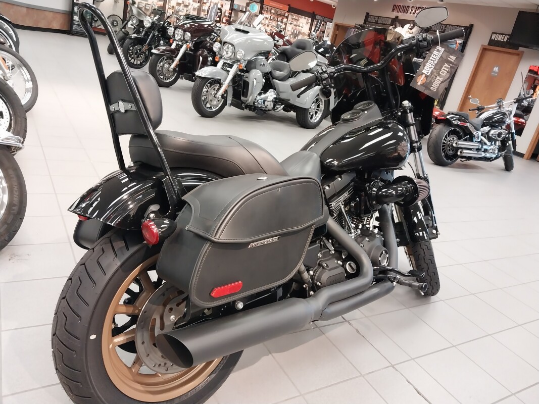 FXDLS 2016 Low Rider S - Photo 8