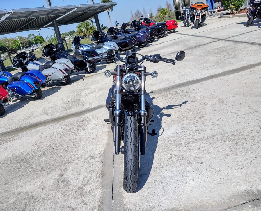 Nightster - Photo 10