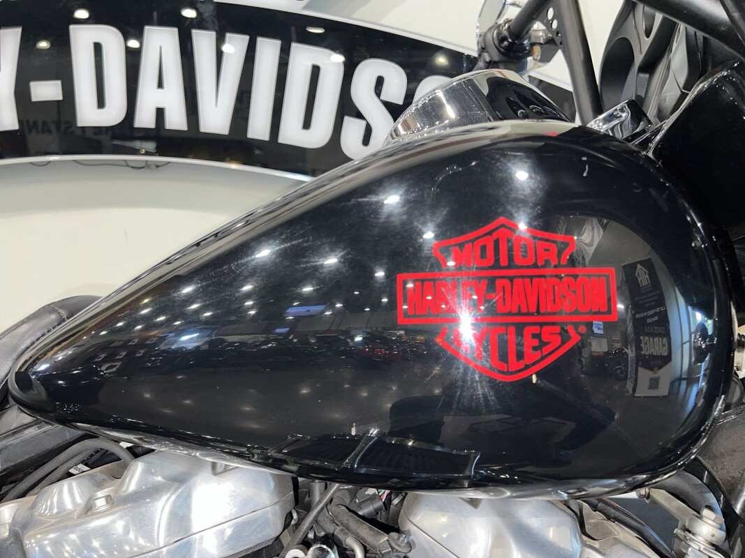 2021 Harley-Davidson Electra Glide Standard FLHT - Photo 5
