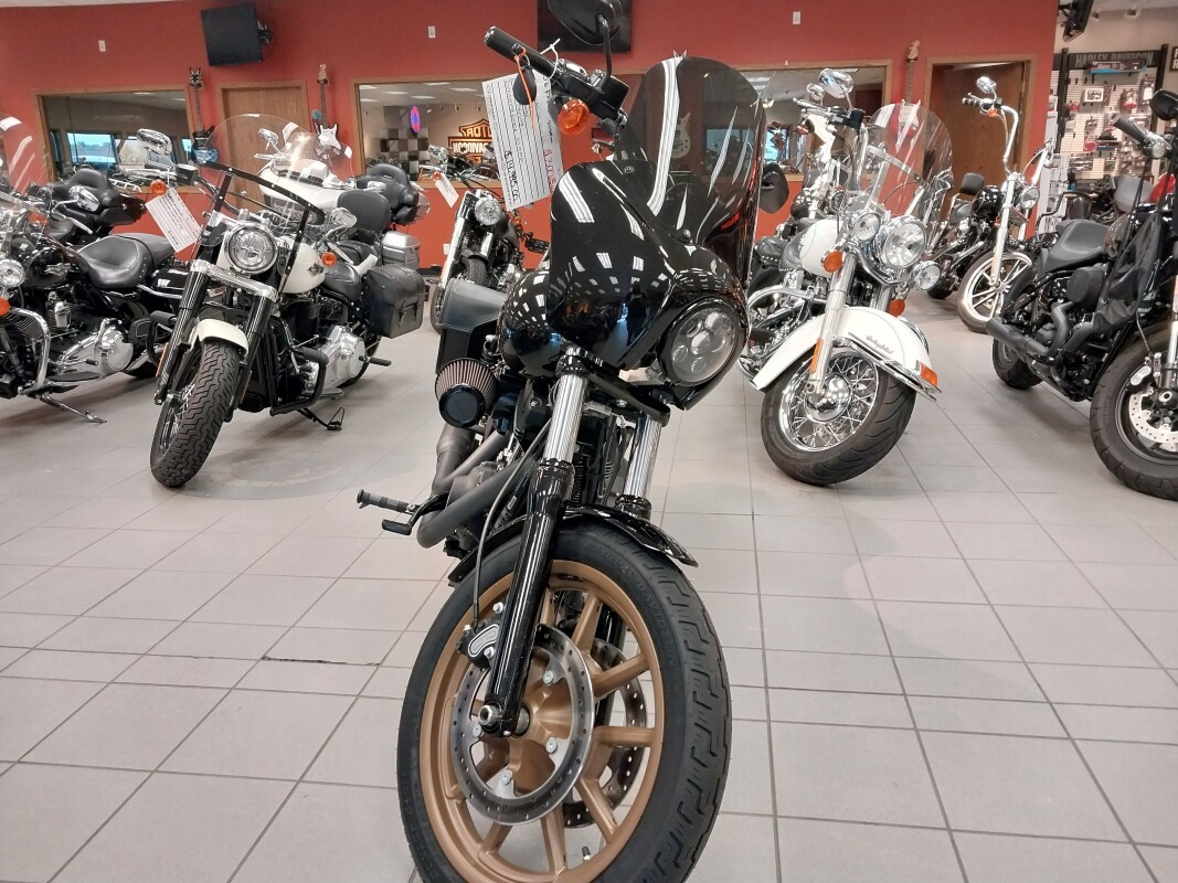 FXDLS 2016 Low Rider S - Photo 3