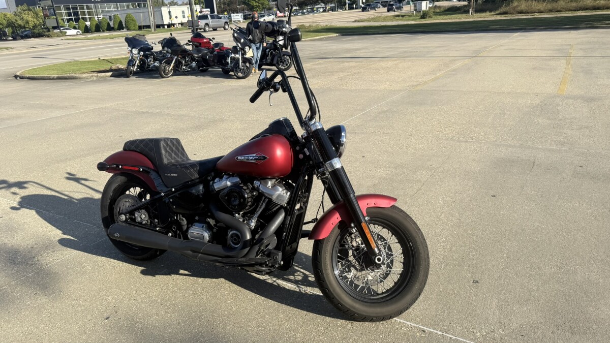 2019 Harley-Davidson Softail Slim - Photo 9