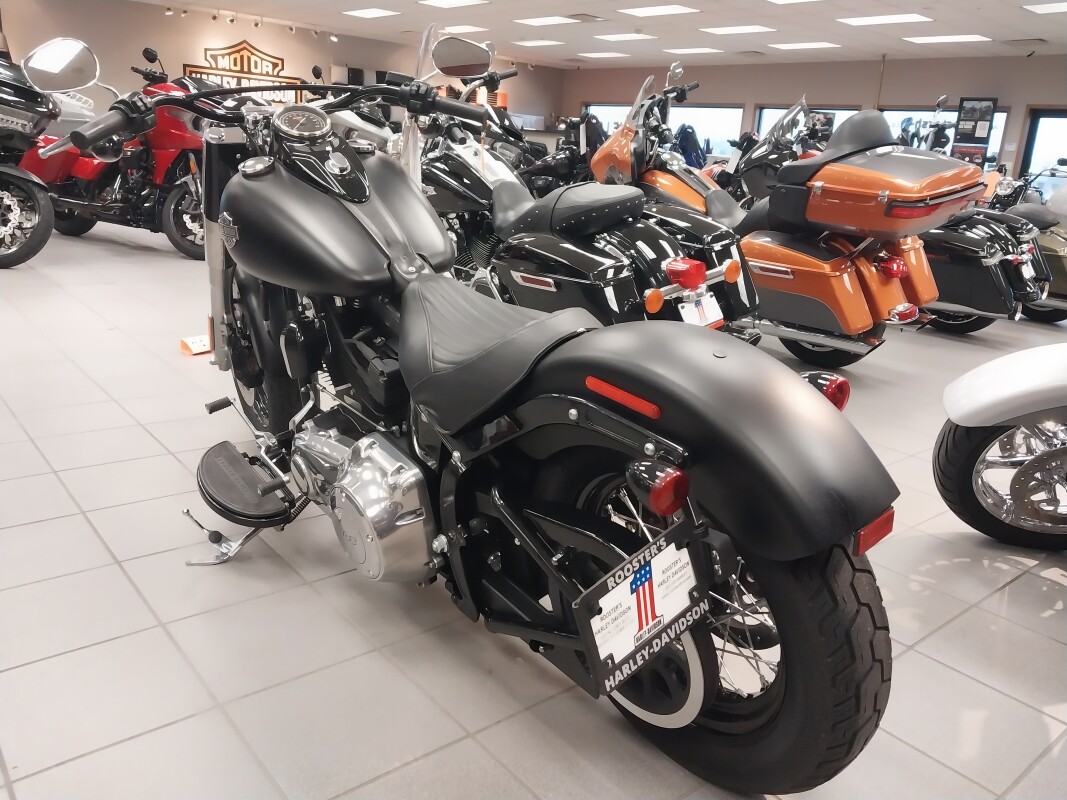 FLS 2017 Softail Slim - Photo 6
