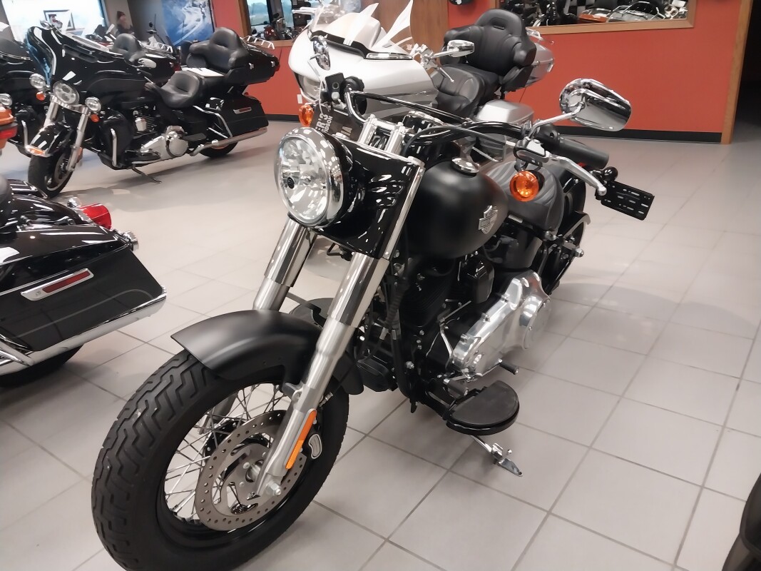 FLS 2017 Softail Slim - Photo 4