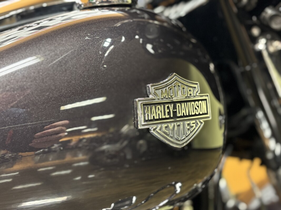 FLHXS 2021 Street Glide Special - Photo 7
