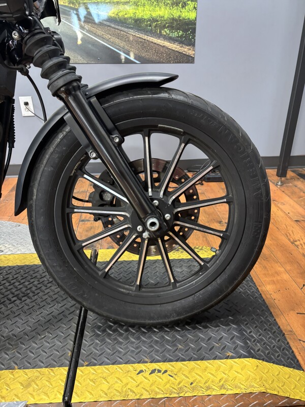 2015 Harley-Davidson Iron 883 BLACK DENIM - Photo 2