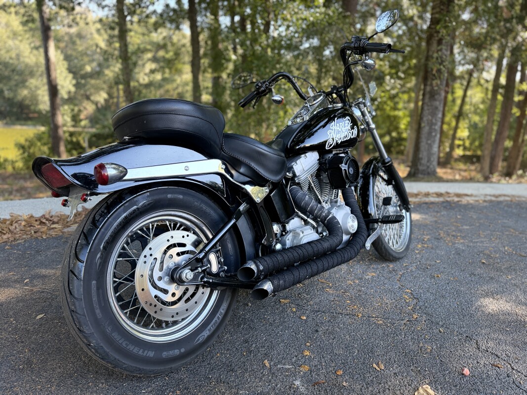 FXST 2002 Softail Standard - Photo 5
