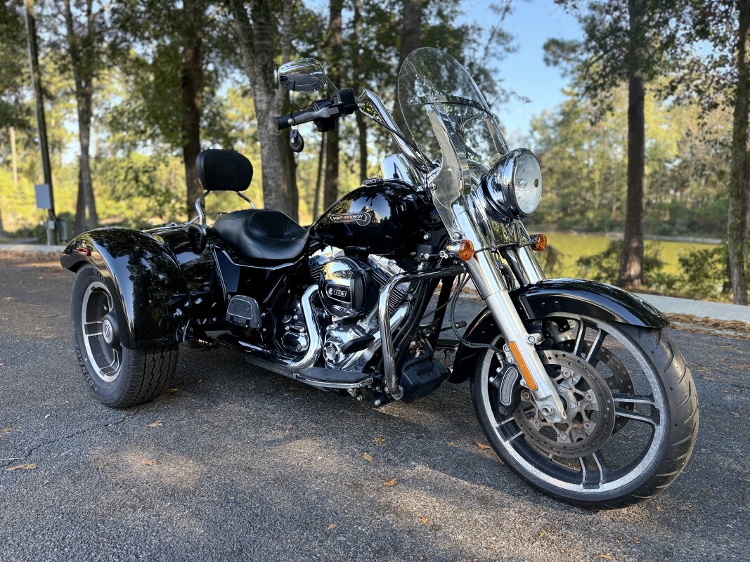 FLRT 2015 Freewheeler - Photo 3