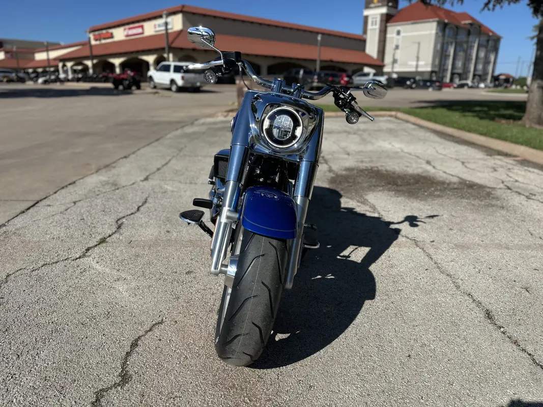 2025 Harley-Davidson Fat Boy - Photo 3