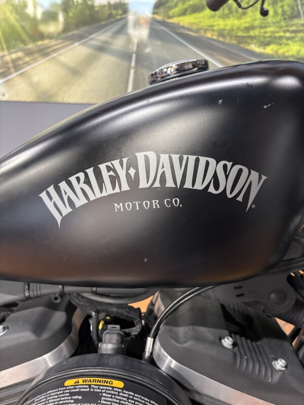 2015 Harley-Davidson Iron 883 BLACK DENIM - Photo 3