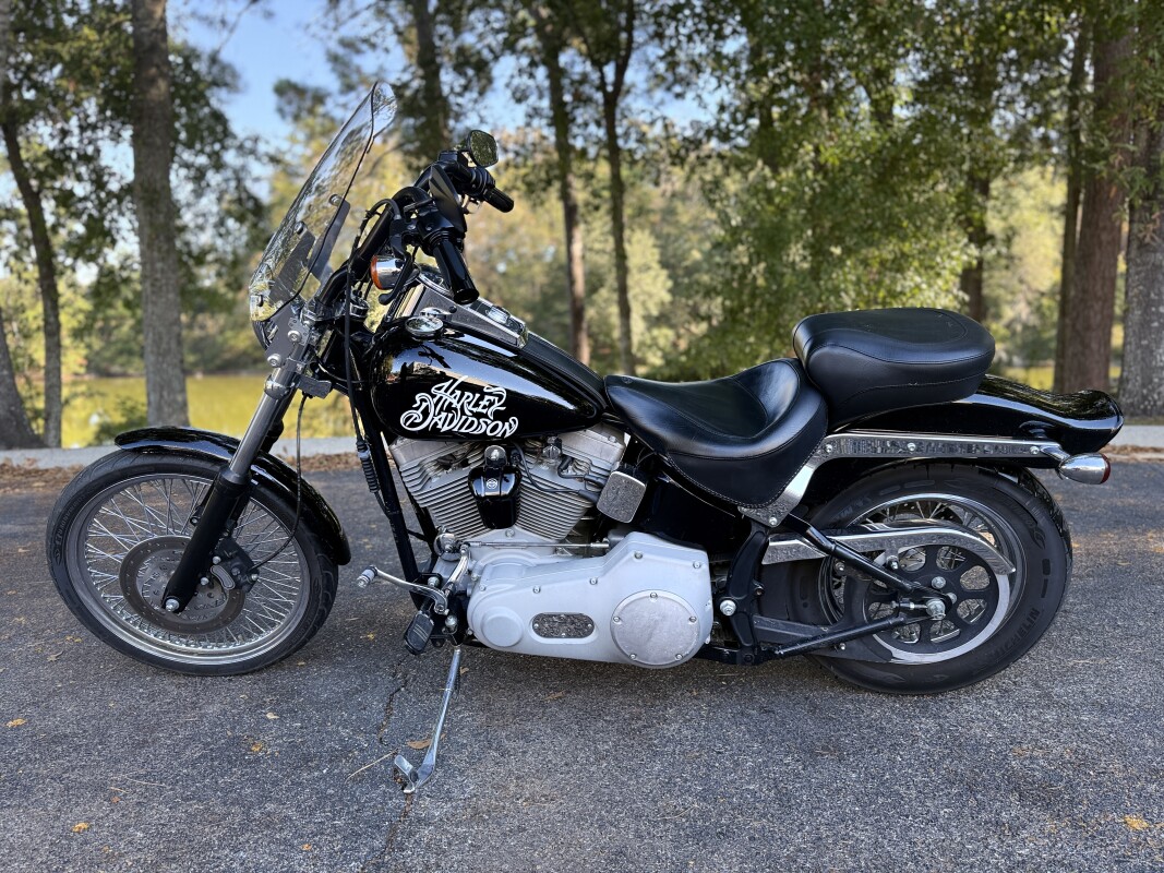 FXST 2002 Softail Standard - Photo 9