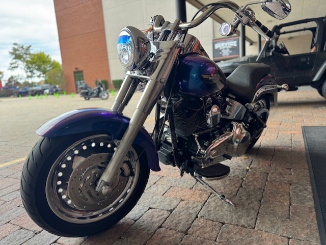 2010 Harley Davidson Fat Boy FLSTF - Photo 8