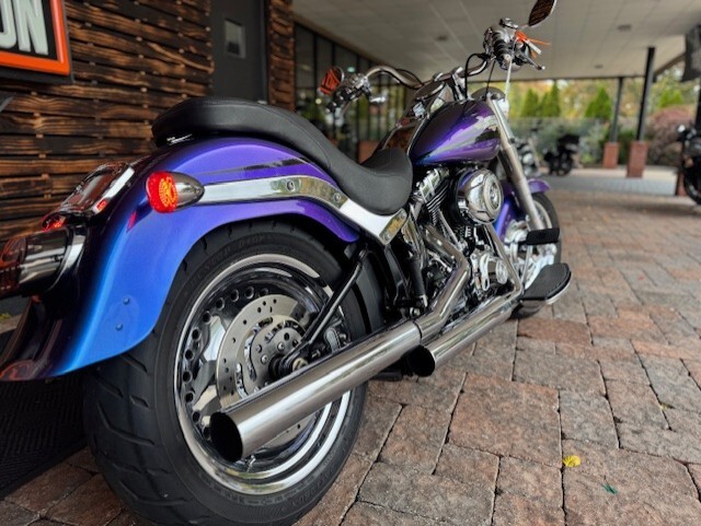 2010 Harley Davidson Fat Boy FLSTF - Photo 4