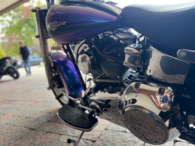2010 Harley Davidson Fat Boy FLSTF - Photo 7