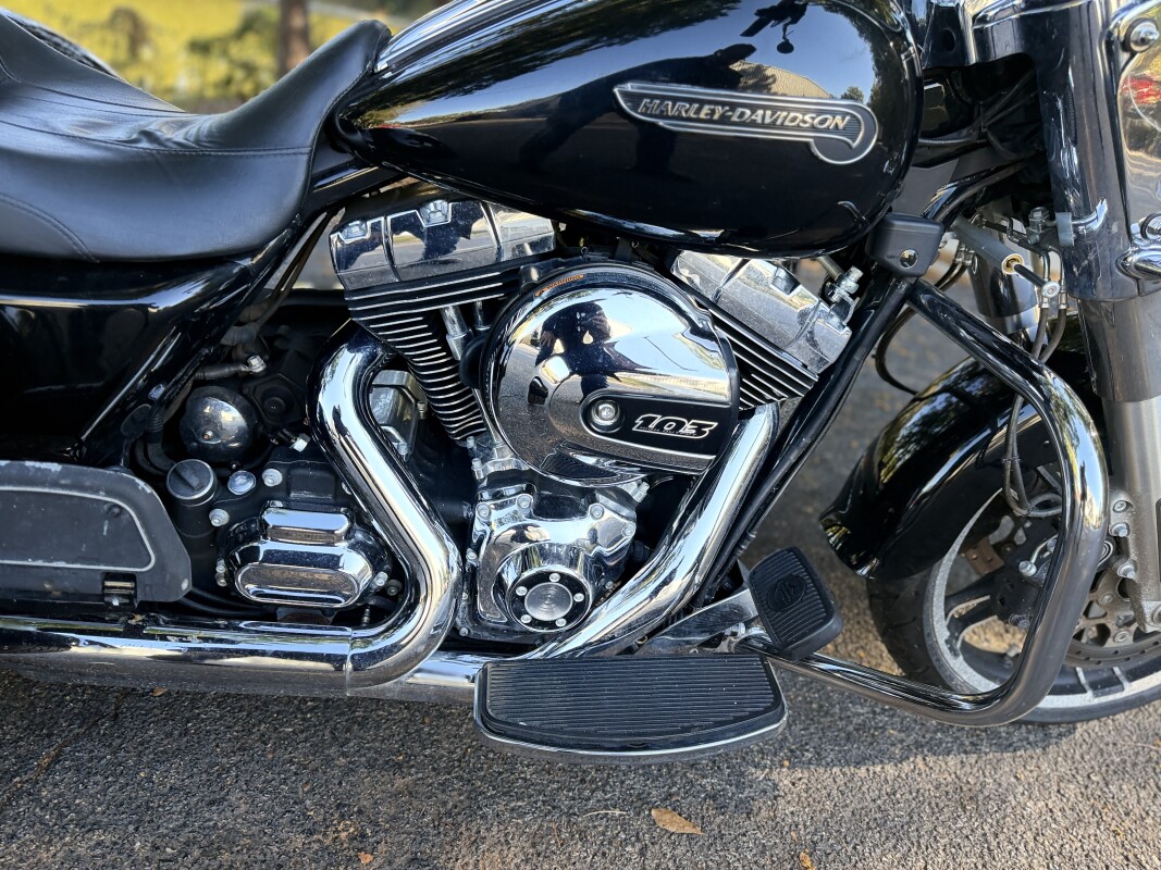 FLRT 2015 Freewheeler - Photo 7