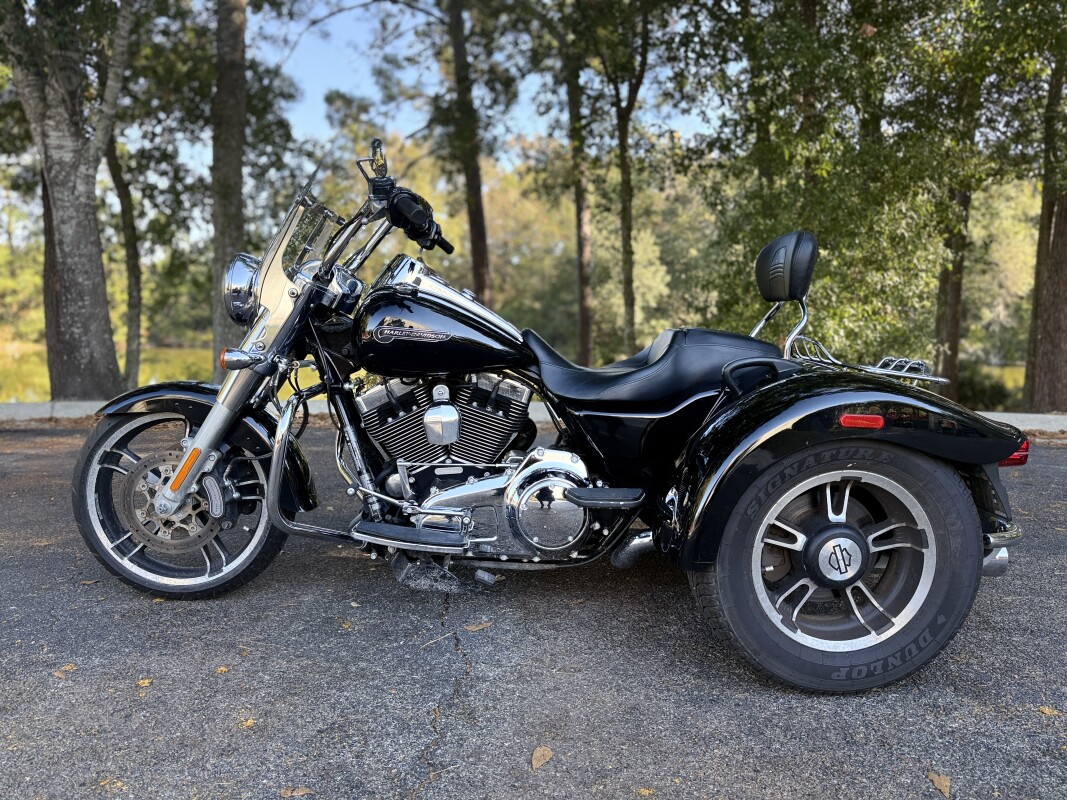 FLRT 2015 Freewheeler - Photo 9