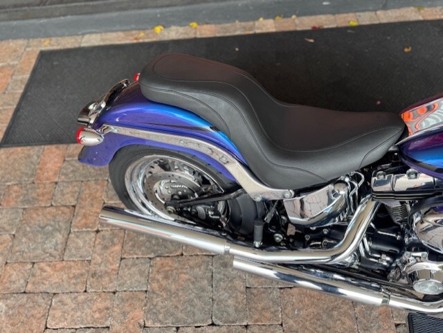 2010 Harley Davidson Fat Boy FLSTF - Photo 3