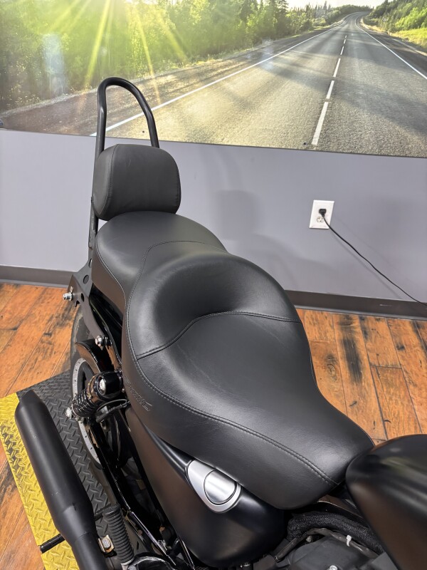 2015 Harley-Davidson Iron 883 BLACK DENIM - Photo 6
