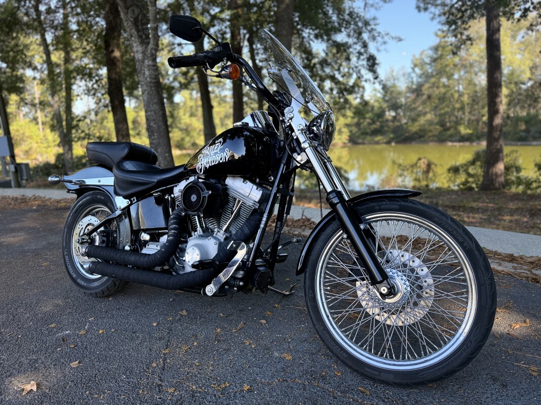 FXST 2002 Softail Standard - Photo 3