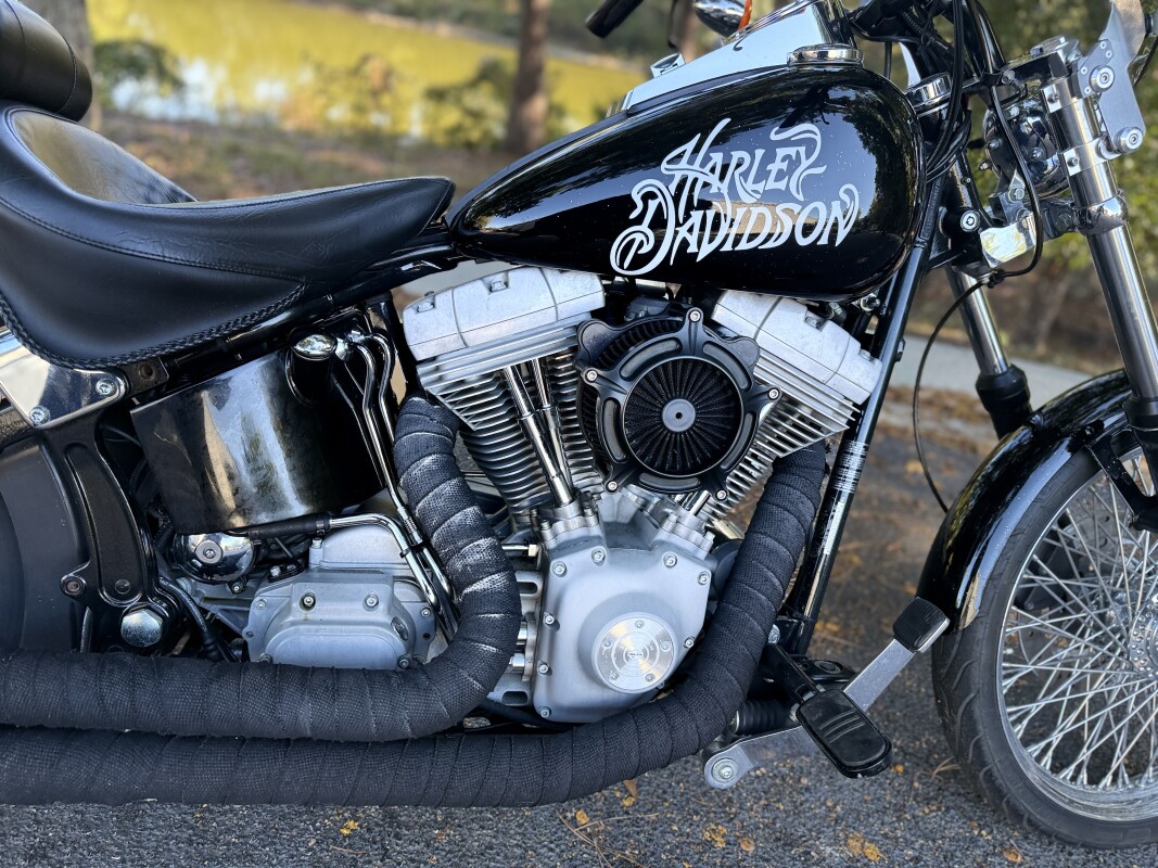 FXST 2002 Softail Standard - Photo 7