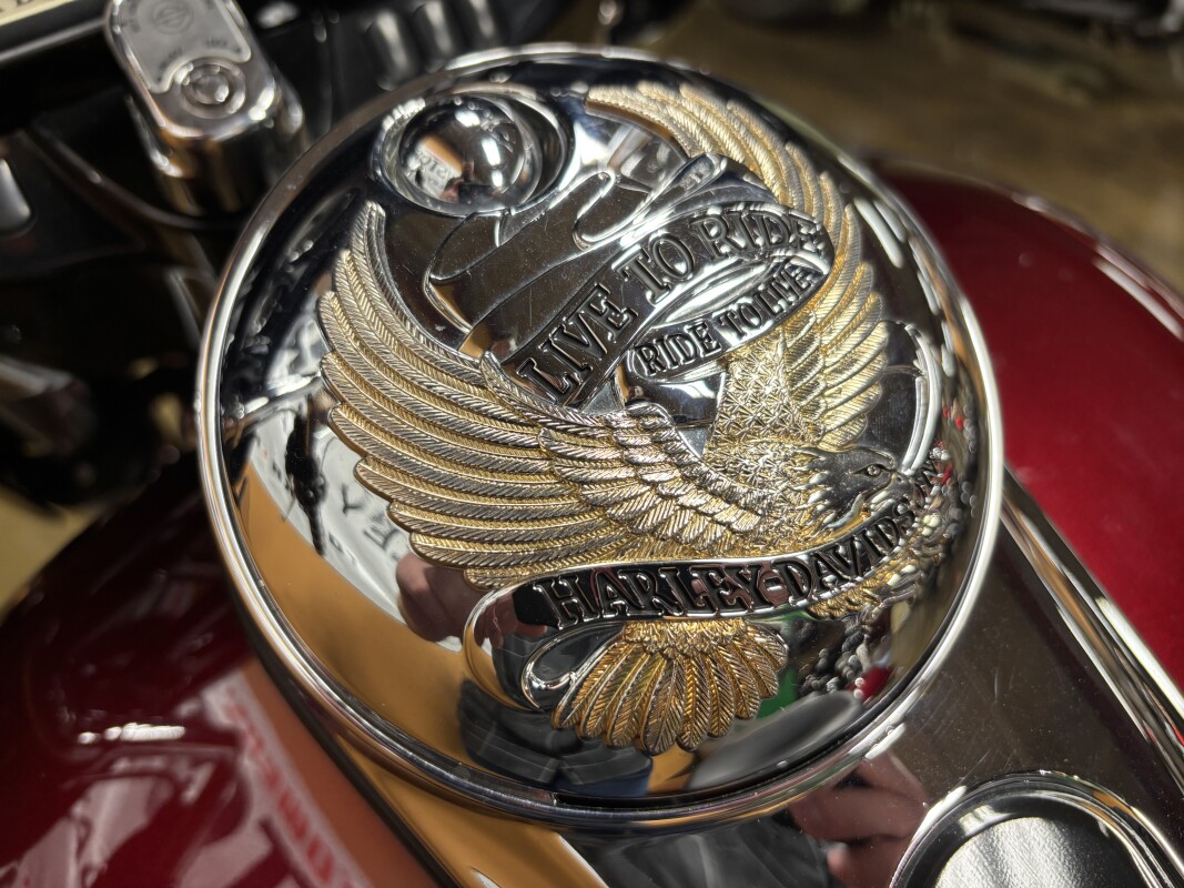 FLHXS 2014 Street Glide Special - Photo 10