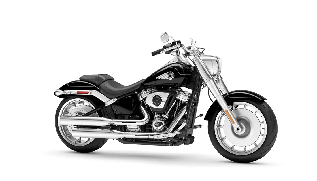 チランジア Fat Boy チランジア ／ イオナンタ ファットボーイ (T.ionantha 'Fat Boy') ☆E