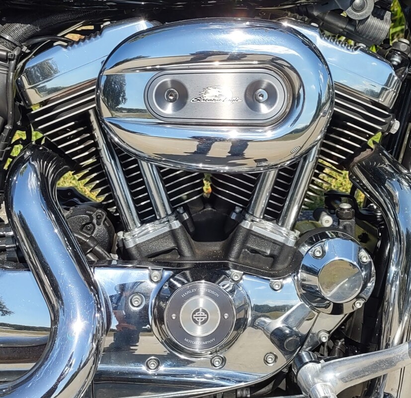 Sportster 1200 Custom - Photo 3