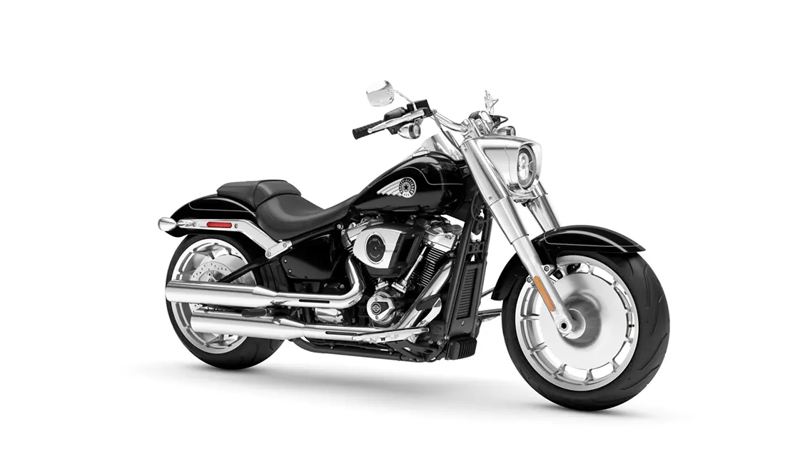 チランジア Fat Boy 23620951-0-139144661.jpg