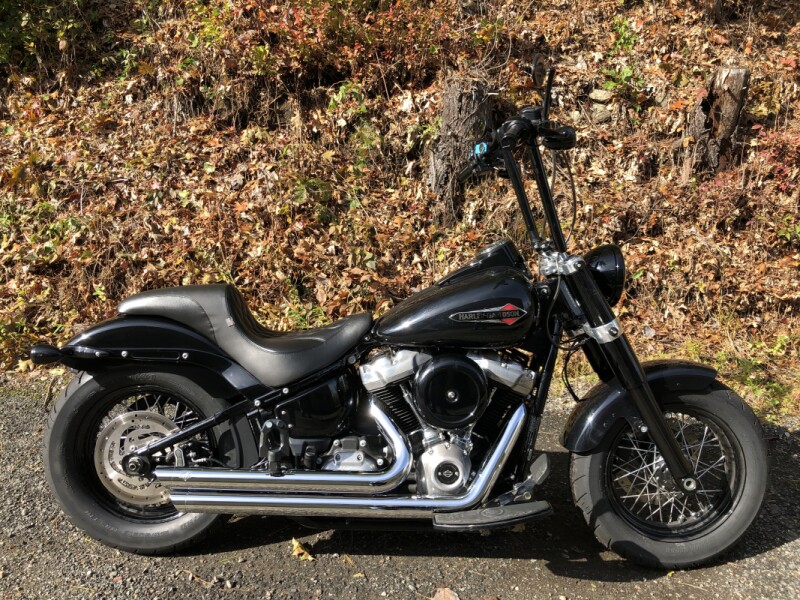 2020 Harley-Davidson® Softail Slim® Vivid Black