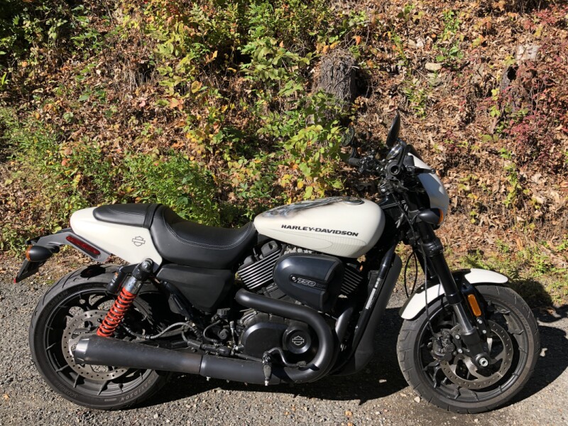 2018 Harley-Davidson® Street Rod® Bonneville Salt Denim