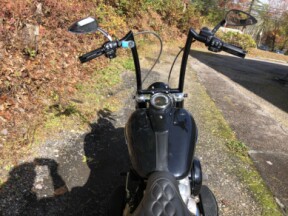 2020 Harley-Davidson® Softail Slim® Vivid Black thumb 0