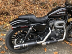 2020 Harley-Davidson® Roadster™ Vivid Black thumb 2