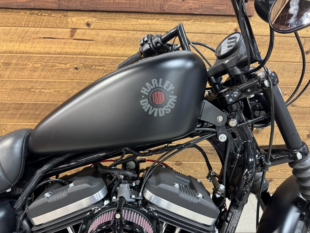 2020 Harley-Davidson Iron 883 Black Denim XL883N - Photo 2