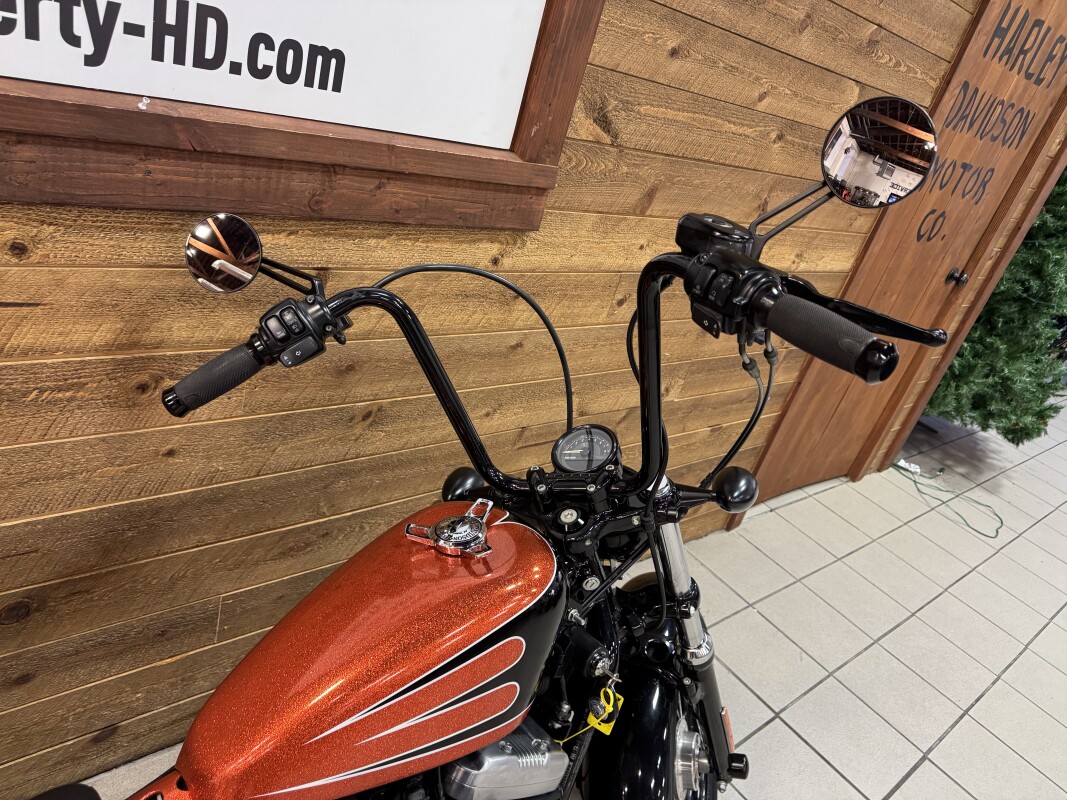 2011 HARLEY-DAVIDSON FORTY-EIGHT CUSTOM PAINT XL1200X - Photo 6