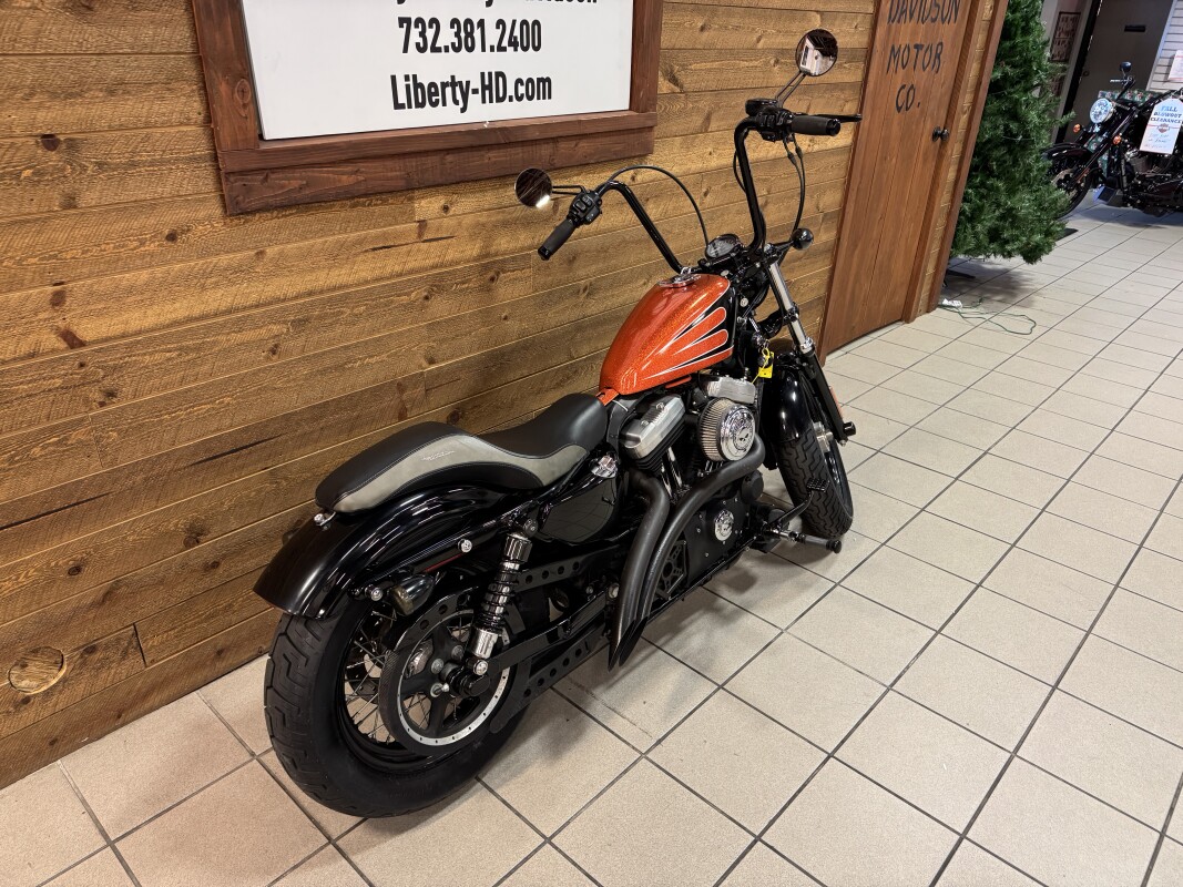 2011 HARLEY-DAVIDSON FORTY-EIGHT CUSTOM PAINT XL1200X - Photo 8